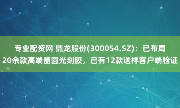 专业配资网 鼎龙股份(300054.SZ)：已布局20余款高端晶圆光刻胶，已有12款送样客户端验证